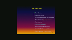 Tricholomatales Régis Courtecuisse Le 25_02_2019 Partie 1