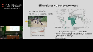 Cours Dr CORNU - lundi 27 octobre - 11h à 13h