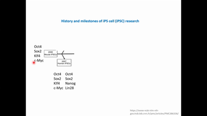 Cours - L3 - Cellules souches 3, partie 1 - Corinne ABBADIE - 2021 02 09