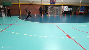 Caloin Chapus Coche-Dequeant Vidéo MOPE.mp4