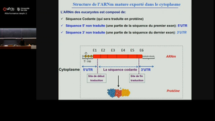 20251024_Hamdane_11h-12h_las2.mp4