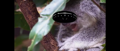 Vidéo sans titre ‐ Réalisée avec Clipchamp.mp4