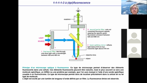 Cours - M2 Physique médicale - Introduction à la biologie 1 - Corinne ABBADIE - 2020 10 21