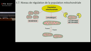 20250926_Lancel_9h-10h_las2.mp4