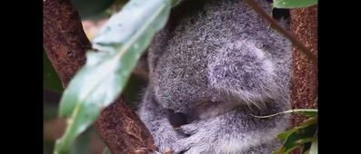 Vidéo sans titre ‐ Réalisée avec Clipchamp.mp4