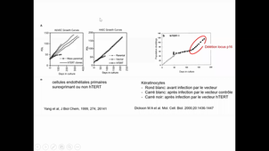 Cours - M2 Physique médicale - Introduction à la biologie 7 - Corinne ABBADIE - 2020 11 18