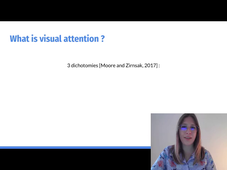 #32 Gruel Amelie - Bio inspired visual attention for silicon retinas based on spiking neural networks applied to pattern classification