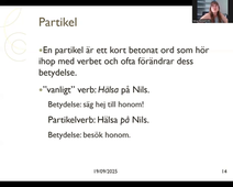 Ordklasser och satsdelar 1