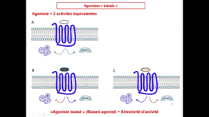 Technique de criblage - X. Dezitter - 23 oct 2023.mp4