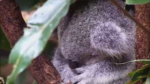 Vidéo sans titre lu.mp4