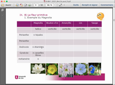 BV1 Cours 9, partie A: Evolution des fleurs (Angiospermes)