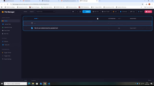 Master IPM Zéphyr - Programmation serveur - VASSET Camille.mp4