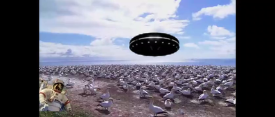 David Aurelie G3 clipchamp vie sauvage.mp4