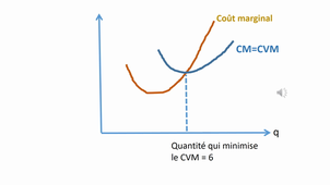 Vidéo méthodologique - fonction d'offre entreprise individuelle - Cas général