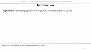 L2-UE3.1-CM3-Capsule1.mp4