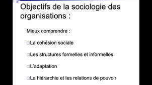 Introduction_Sociologie des Organisation
