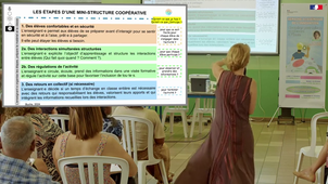 Céline BUCHS Les mini-structures coopératives pour soutenir la c.mp4