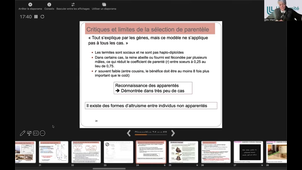 partie 1 du cours 3.mp4