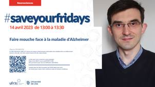 Faire mouche face à la maladie d'Alzheimer - Pierre Dourlen