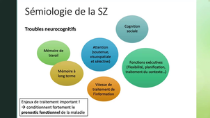 Troubles psychotiques_CM2_partie1.mp4