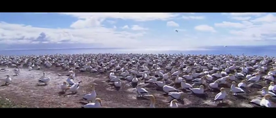 clipchamp_jeanne_vaast.mp4