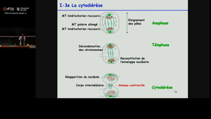 20251024_Paumelle-Lestrelin_8h-10h_las2.mp4