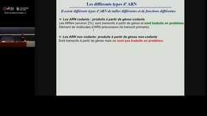 20251010_Hamdane_17h-18h_las2.mp4