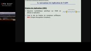 20250926_Hamdane_11h-12h_las2.mp4