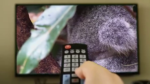 Vidéo sans titre ‐ Réalisée avec Clipchamp (1).mp4