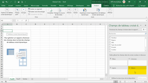 Réalisez des tableaux croisés dynamiques - Maîtrisez les fon.mp4
