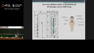 Cours Pr PLANTE BORDENEUVE - lundi 17 novembre - 10h00 à 11h00