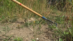 Potatoit Présentation.m4v