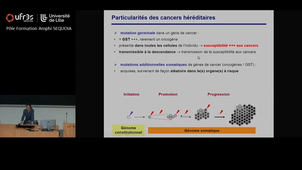Cours Pr Buisine -mercredi 29 octobre - 8h à 9h