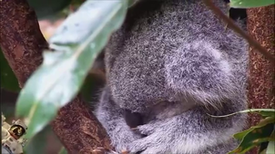 Vidéo ‐ Réalisée avec Clipchamp.mp4