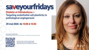 Targeting endothelial cell plasticity in pathological angiogenesis - ANNA RITA CANTELMO
