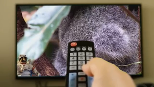 Vidéo Animaux Réalisée avec Clipchamp  Ryad Tabet Aoul.mp4