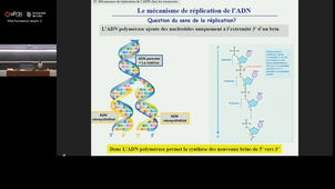 Chimie - Biologie Moléculaire - MH