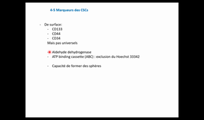Cours - L3 - Cellules souches 3, partie 2 - Corinne ABBADIE - 2021 02 09