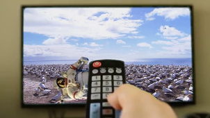 La vie sauvage ‐ Réalisée avec Clipchamp (5).mp4