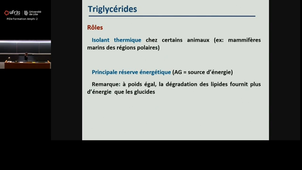 20251024_Cauffier_17h-18h_las2.mp4