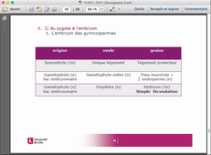 BV1 Cours 10-B et Cours 11-A: Embryogenèse et Graine (Angiospermes)