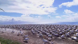 Clipchamp video Timéo Buysschaert.mp4