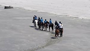 Sport & Patrimoine le récap 2025