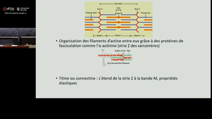 20251003_Lancel_9h-10h_las2.mp4