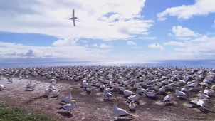 Vidéo sans titre ‐ Réalisée avec Clipchamp.mp4