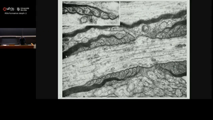 20251118_Deramecourt_8h-9h_pass(1).mp4