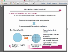 S5 BCP Cours 2 DAV: Embryologie Végétale (AS Blervacq)