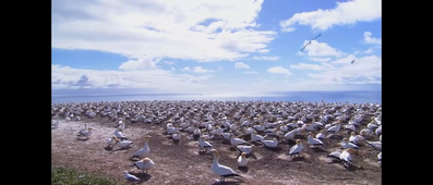 Suela Hashani, vidéo entraînement ‐ Réalisée avec Clipchamp.mp4