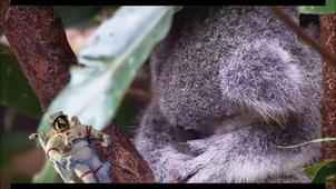 Vidéo sans titre ‐ Réalisée avec Clipchamp.mp4