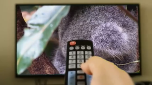 Vidéo fini ‐ Réalisée avec Clipchamp.mp4